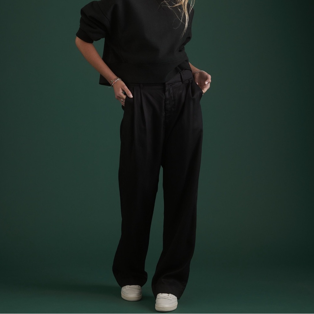 American Eagle Premium Pleated Trousers